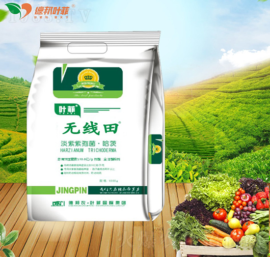 �������߾�������-�o(w��)����-�°��~��