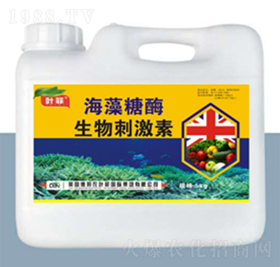 ������ø����̼���-�°��~��