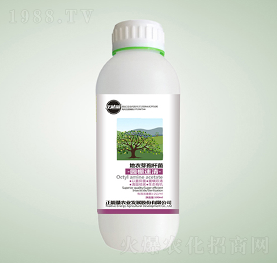 ����ѿ�ߗU����@��-�@������-������