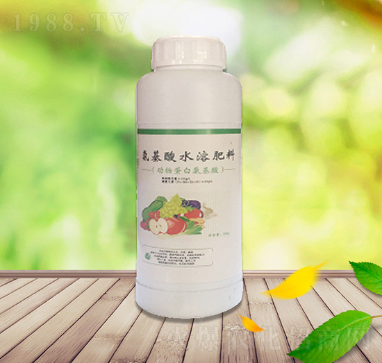 �������~���-��������