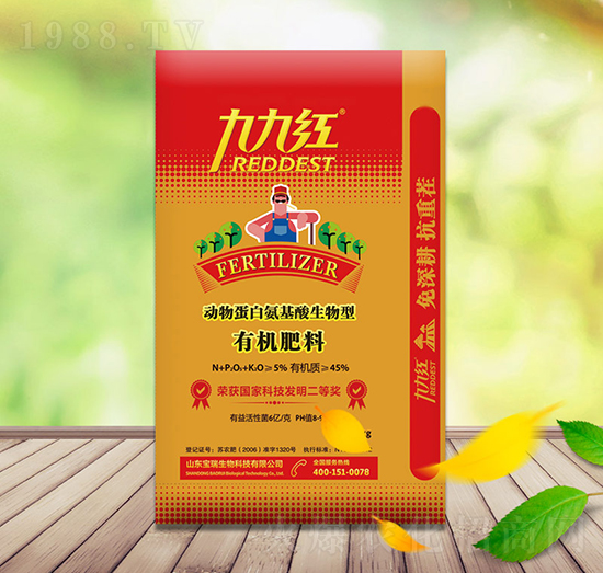 ���ﵰ�װ������������ЙC(j��)����-��������