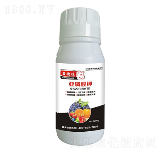 �������0-520-370+TE-ϲ����