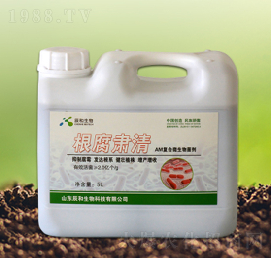 �����C��-��������