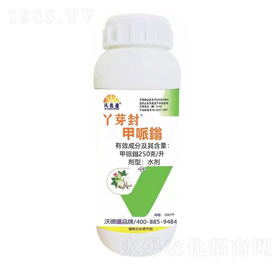 Ѿѿ������f-�ֵ½�-���֠��r(n��ng)�I(y��)