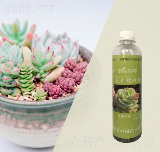 ������û��ܠI(y��ng)�B(y��ng)Һ-�ֱ�ķ-�T�ַ���