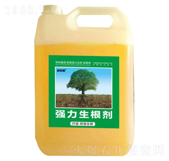 Ǥ�塤������������������-�ֱ�ķ-�T�ַ���