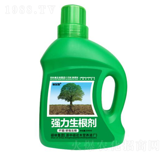 1000mlǤ�塤����������(qi��ng)��������-�ֱ�ķ-�T�ַ���