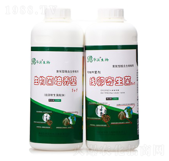 ��������B(y��ng)��+��(xi��n)�Ѽ�����-�A�I����