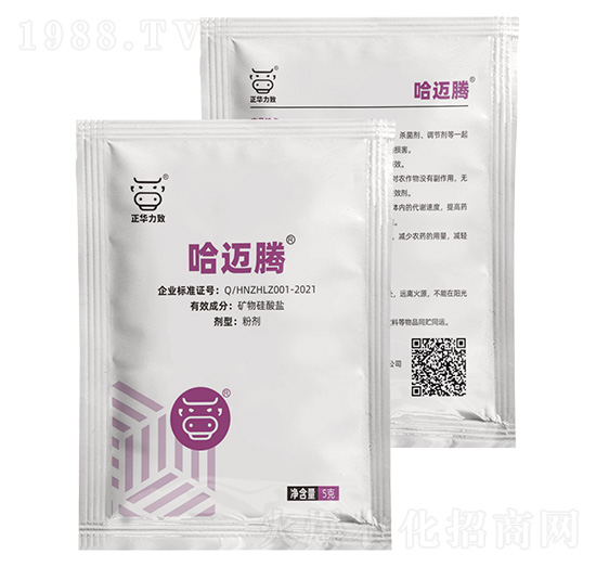 �V������}-���~�v-���A����