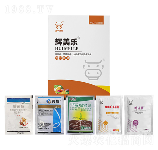 ���������o�����������ݲ�����ή���ײ�-�x����-���A����