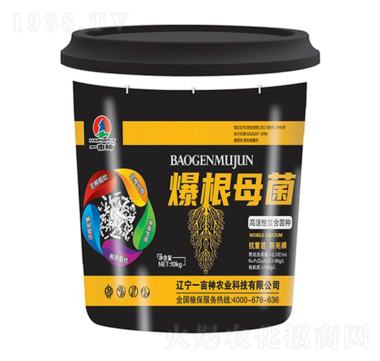 �߻��ԏͺϾ��N-����ĸ��-һ����