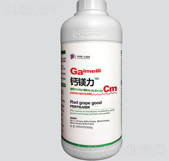 �}�V��-�t����