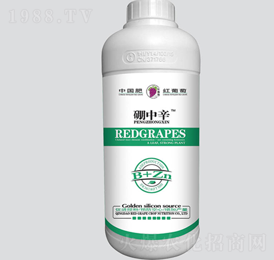 ������-�t����