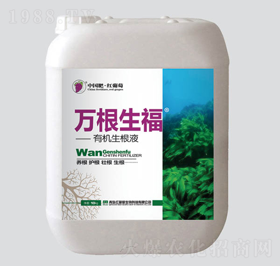 �f�������ЙC(j��)����Һ-�t����