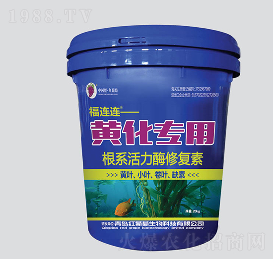 �S�����ø�ϵ����ø�ޏ�(f��)��-���B�B-�t����