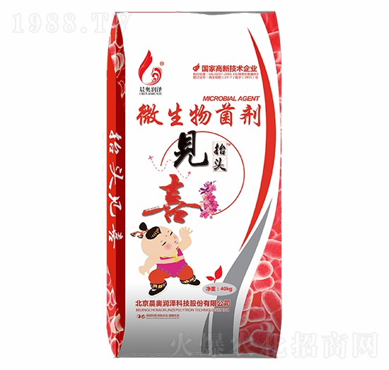 ΢����������w����̧�^Ҋϲ-���W��(r��n)��