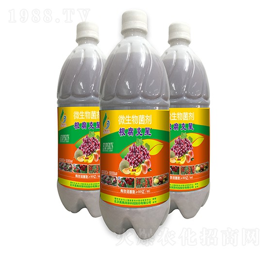 ΢���������Һ�w��-��������-���W��(r��n)��