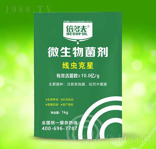 ���x(ch��ng)����-�����