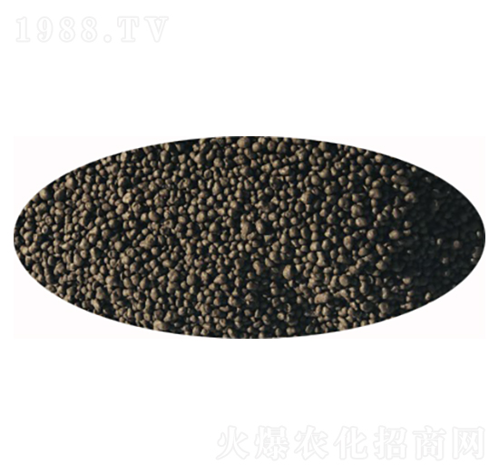 ΢�������-�l(f��)ؔ��