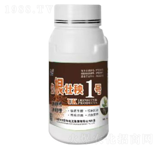 ��������1̖-Ӣ������-�տ���