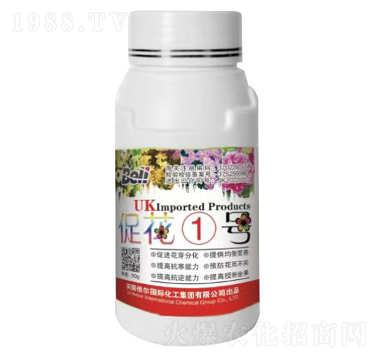 �ٻ�1̖(h��o)-Ӣ������-�տ���