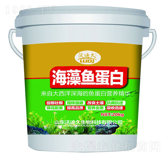 �����~(y��)����-�ֵϾ�