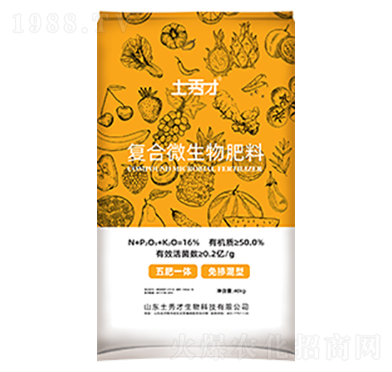 �ͺ�΢�������-�����