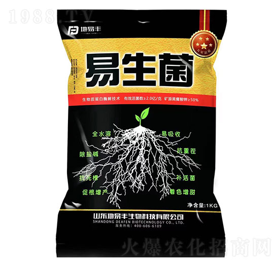 ������-�����S