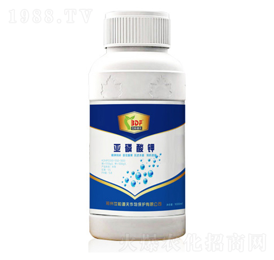 �������-���ص���