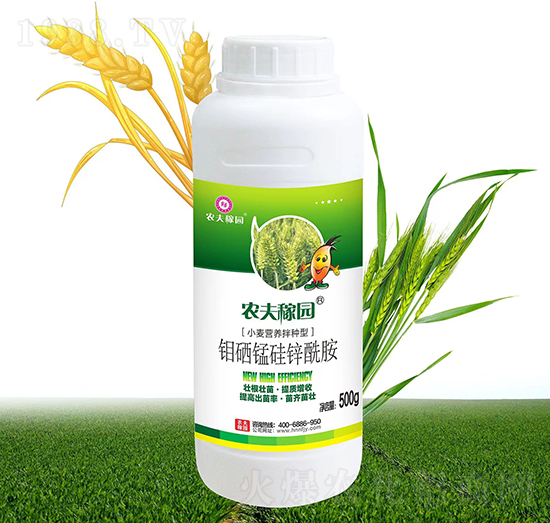 С���I�B(y��ng)��N��-�r(n��ng)��ڈ@