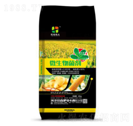 ΢�������-���ηʘI(y��)