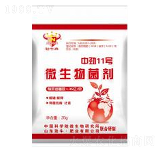 �Є�11̖(h��o)΢�������-��ţ