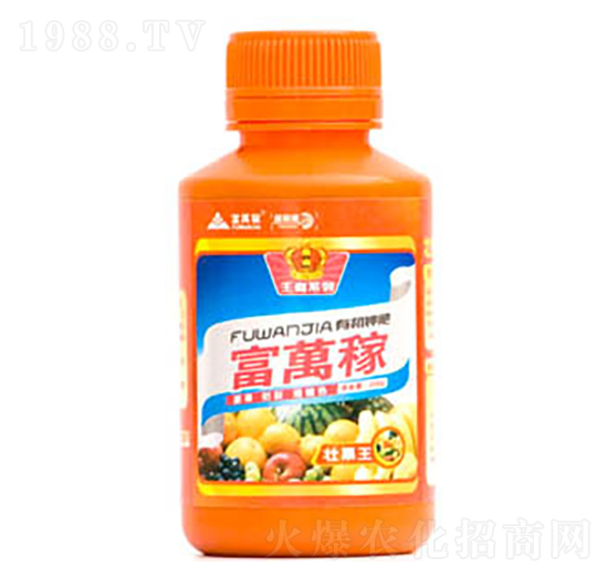 �ѹ���-���f�