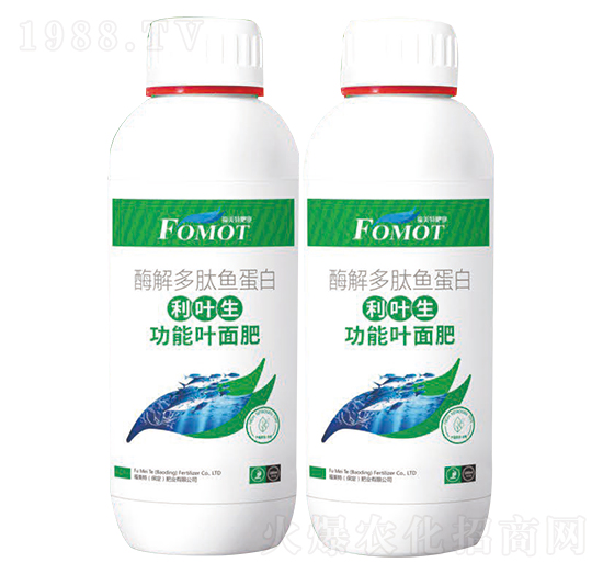 ø������~(y��)����-���~��-������