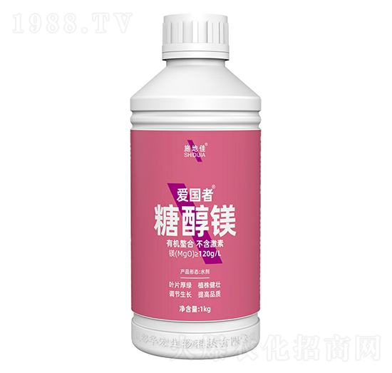 �Ǵ��V-�A��