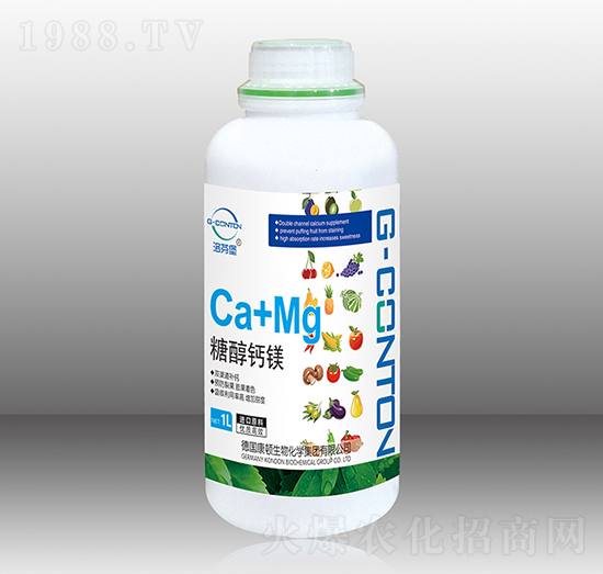 1000gG-CONTON���Ǵ��}�V-��ұ�-�A����