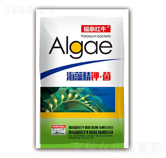 ���徫⛡���-��̩�tţ