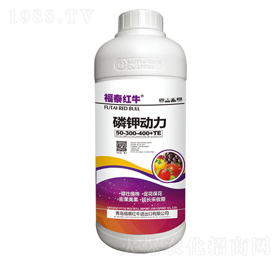 ��⛄�(d��ng)��50-300-400+TE-��̩�tţ