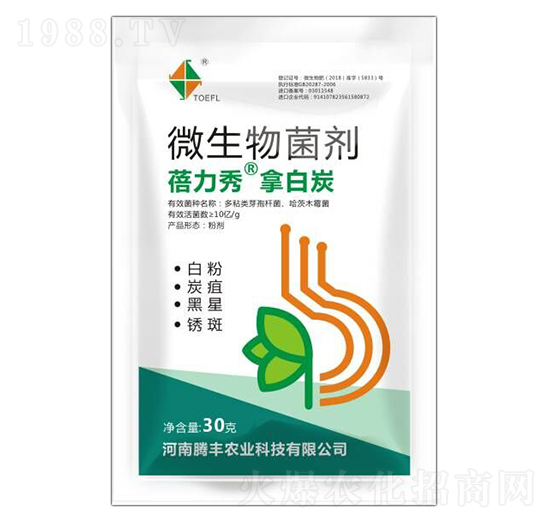 ΢�������-�������ð�̿-�v�S�r(n��ng)�I(y��)