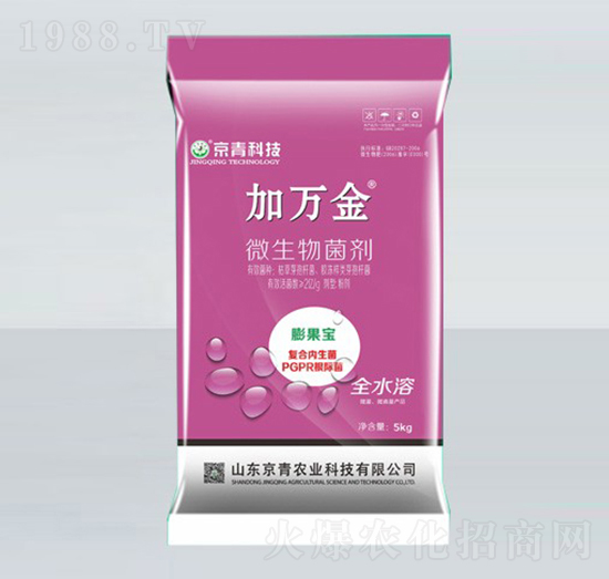 �����΢�������-���f(w��n)��-����Ƽ�