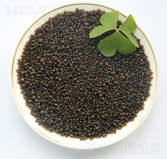 ��ֲ�������w��-������-���B��