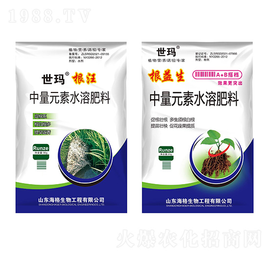 ����+������-����-��������