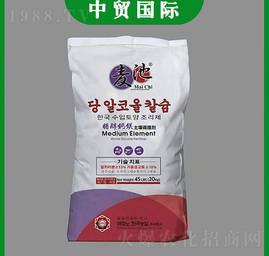 ���������{�턩