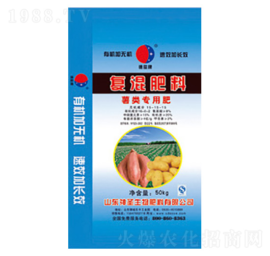 ����Ïͻ����-��ʥ����