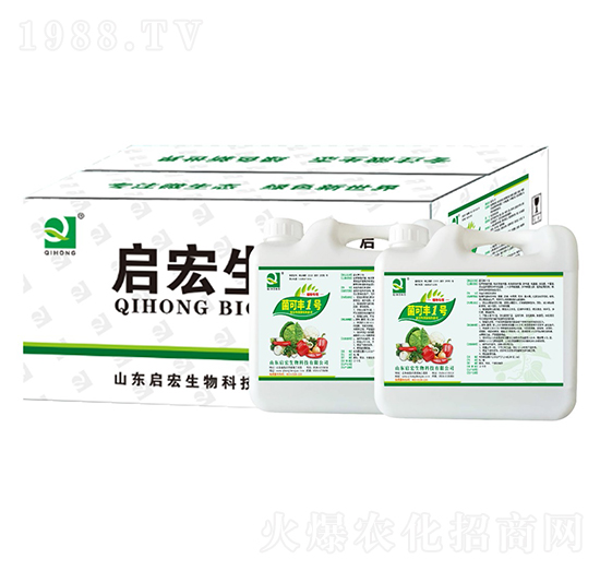 �����S1̖-��������