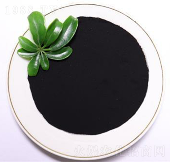 ���S���-���B��