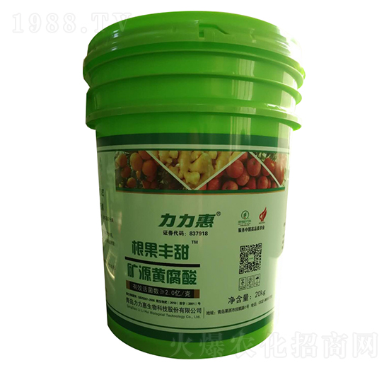 �VԴ�S����-�����S��-����������