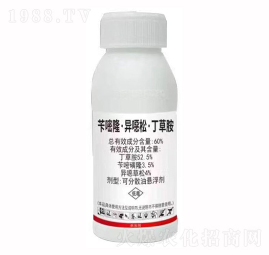 �S��¡�����f�ɡ����ݰ�-���ս�