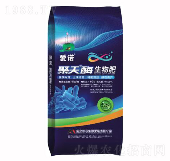 ����ø�����-���Z