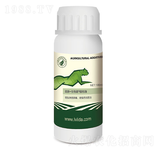 ֲ����-���}�����-�G���_